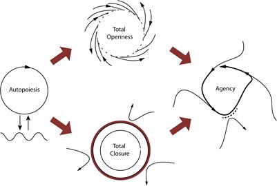 Pregnant Agencies: Movement and Participation in Maternal–Fetal Interactions